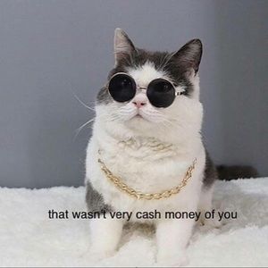 Meet your Posher, Jo